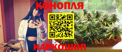 PSILOCYBIN Пенза