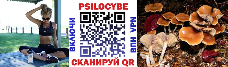 Псилоцибиновые грибы Psilocybe  Татарск 
