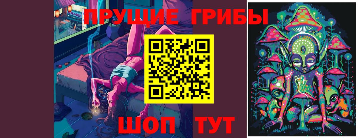 Псилоцибиновые грибы Cubensis Татарск