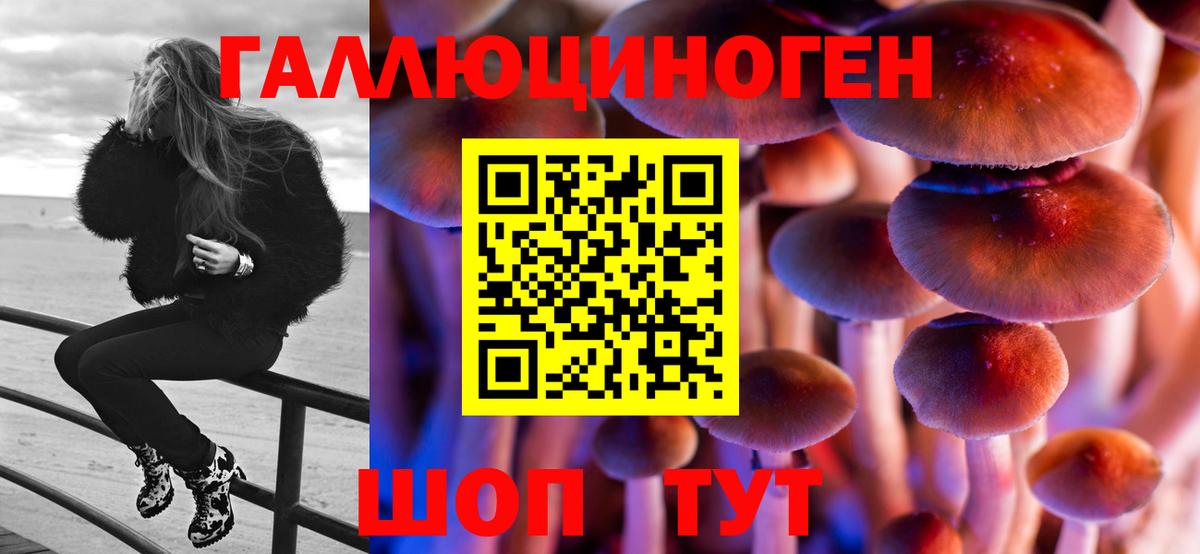 Татарск  Галлюциногенные грибы мицелий  где купить наркоту  Вход с VPN 